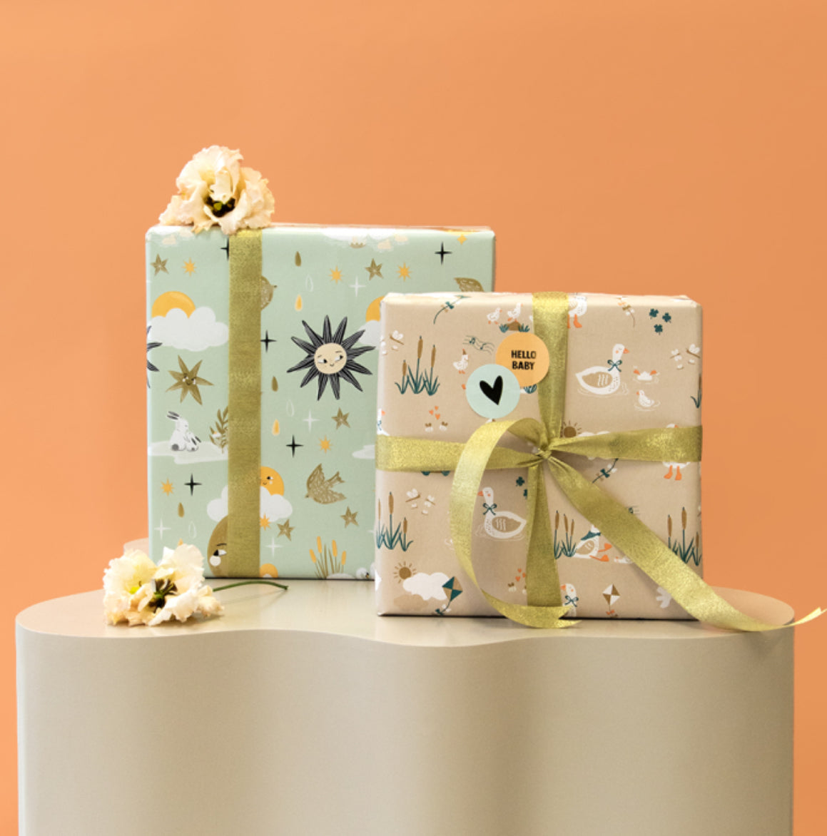 Cadeaupapier - Baby Goose (70 cm)